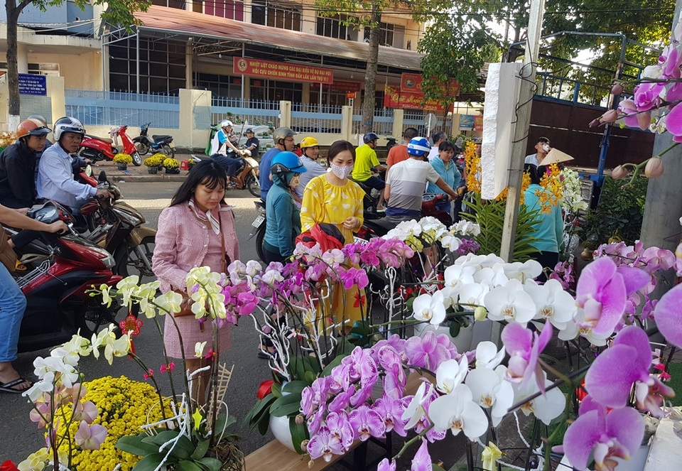 Thương lái mệt mỏi xả hàng, giá hoa tết nhiều nơi giảm 50-70% - 3 Thương lái mệt mỏi xả hàng, giá hoa tết nhiều nơi giảm 50-70% - 3