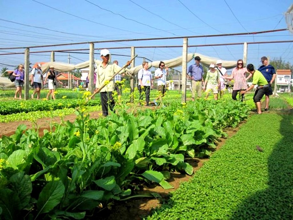 Có 24 giờ ở Hội An, bạn đi đâu, ăn gì? - 6 Có 24 giờ ở Hội An, bạn đi đâu, ăn gì? - 6