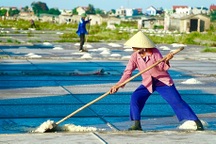 Nắng nóng hơn 40 độ C, hạt muối đẹp và diêm dân càng cực nhọc