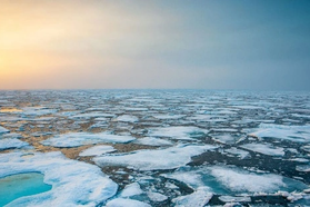 Nỗ lực tìm cách đóng băng Bắc Cực