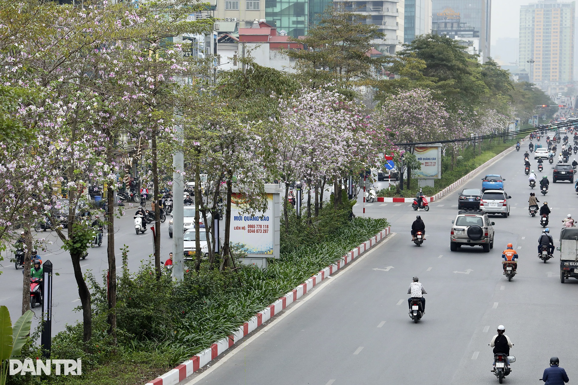 Xanh mát những cung đường mùa xuân trong lòng Hà Nội - 3 Xanh mát những cung đường mùa xuân trong lòng Hà Nội - 3