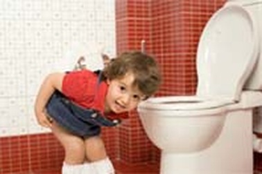 51% vi trùng gây bệnh có nguồn gốc từ bồn cầu 