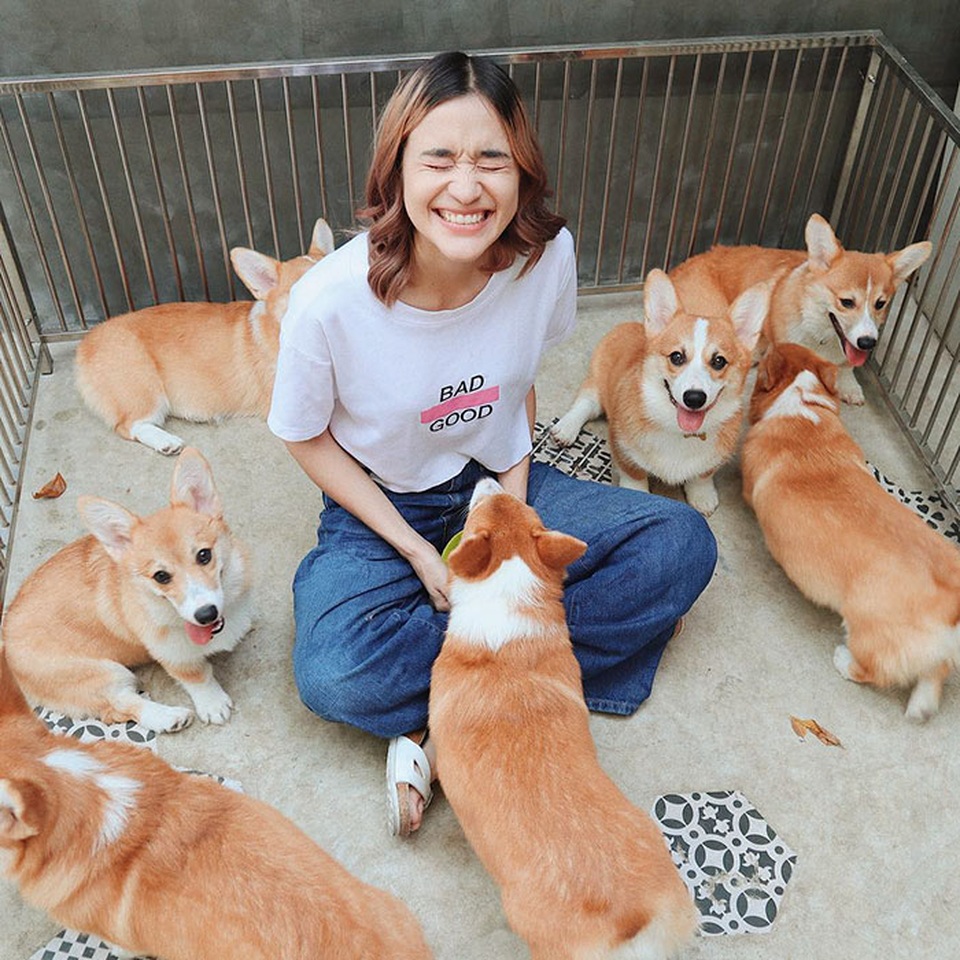 Quán cà phê toàn nhân viên 4 chân biết mua vui, lấy lòng khách ở Bangkok - 10 Quán cà phê toàn nhân viên 4 chân biết mua vui, lấy lòng khách ở Bangkok - 10