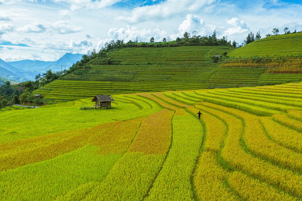 Sa Pa quyến rũ mùa lúa thay màu! - 10 Sa Pa quyến rũ mùa lúa thay màu! - 10