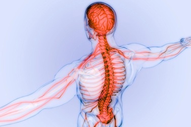 Đau mạn tính: Vì sao cơn đau kéo dài dai dẳng và ngày càng khó dứt?