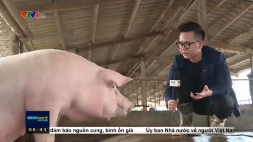 BTV Hữu Trí chiếm sóng mạng xã hội vì nói chuyện được với heo, vịt và lúa - 2 BTV Hữu Trí chiếm sóng mạng xã hội vì nói chuyện được với heo, vịt và lúa - 2