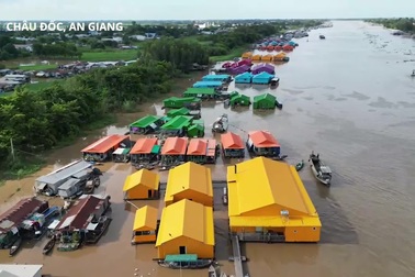 Khoác áo mới cho hàng trăm chiếc bè cá ở miền Tây