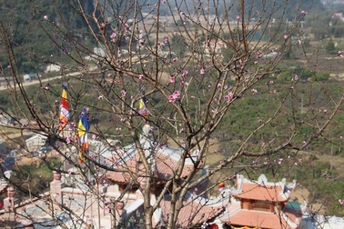 “Đánh thức” mảnh đất giàu tiềm năng miền biên viễn