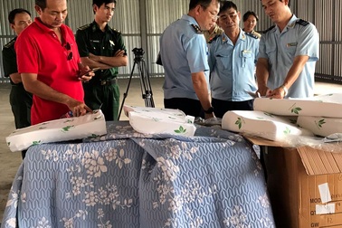 Phát hiện lô hàng Trung Quốc giả mạo xuất xứ Việt Nam tại cảng Cát Lái