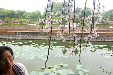 Ngỡ ngàng với phong lan đẹp tuyệt tại vườn thượng uyển Cơ Hạ