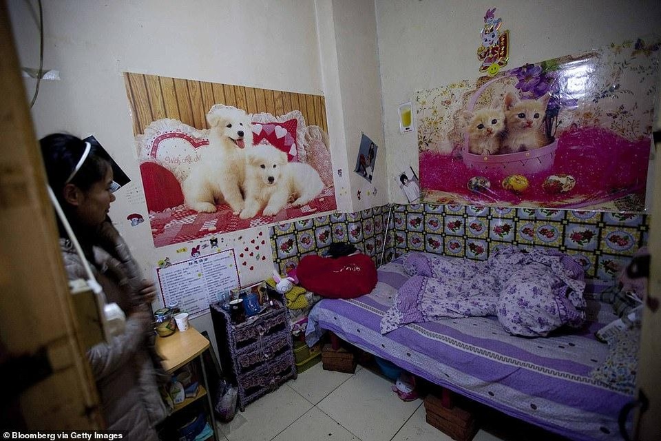 Cuộc sống tù túng trong những căn nhà hộp diêm dưới lòng đất Bắc Kinh - 4 Cuộc sống tù túng trong những căn nhà hộp diêm dưới lòng đất Bắc Kinh - 4