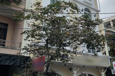 Hai người đàn ông đột tử trong khách sạn