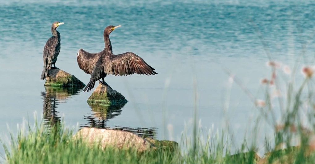 Đập Kakhovka ở Ukraine bị phá hủy đang gây ra thảm họa - 2 Đập Kakhovka ở Ukraine bị phá hủy đang gây ra thảm họa - 2