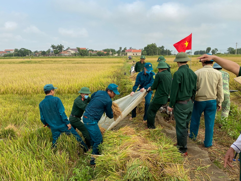 Bộ đội căng mình giữa nắng nóng giúp dân gặt lúa, sửa nhà - 1 Bộ đội căng mình giữa nắng nóng giúp dân gặt lúa, sửa nhà - 1