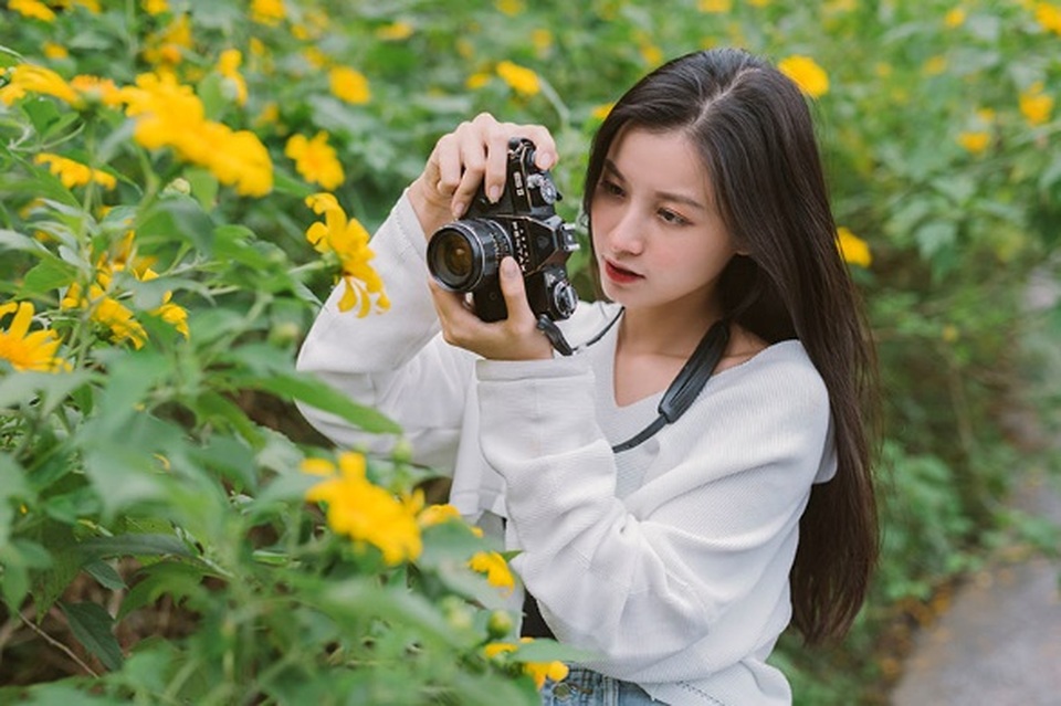 Thiếu nữ Bắc Giang “khoe” nét đẹp trong veo bên hoa dã quỳ - 3 Thiếu nữ Bắc Giang “khoe” nét đẹp trong veo bên hoa dã quỳ - 3