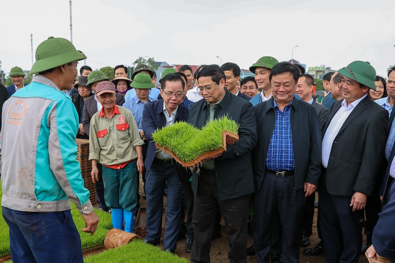 Thủ tướng xuống đồng cấy lúa, thu hoạch cà rốt cùng nông dân - 1