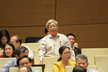 Đại biểu Quốc hội: Đi kiện thì phải nhanh!