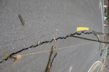 Đường “rách” đổ tại “trời”: Làm lãnh đạo thế thì dễ quá!