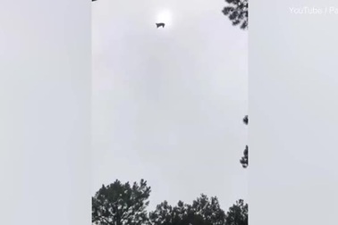 Trực thăng thả lợn rơi trúng... bể bơi trong villa nghỉ dưỡng nhà triệu phú