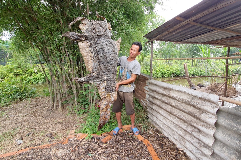 Bất ngờ đối mặt cá sấu, người đàn ông Sài Gòn leo lên cây gọi... ứng cứu - 3 Bất ngờ đối mặt cá sấu, người đàn ông Sài Gòn leo lên cây gọi... ứng cứu - 3