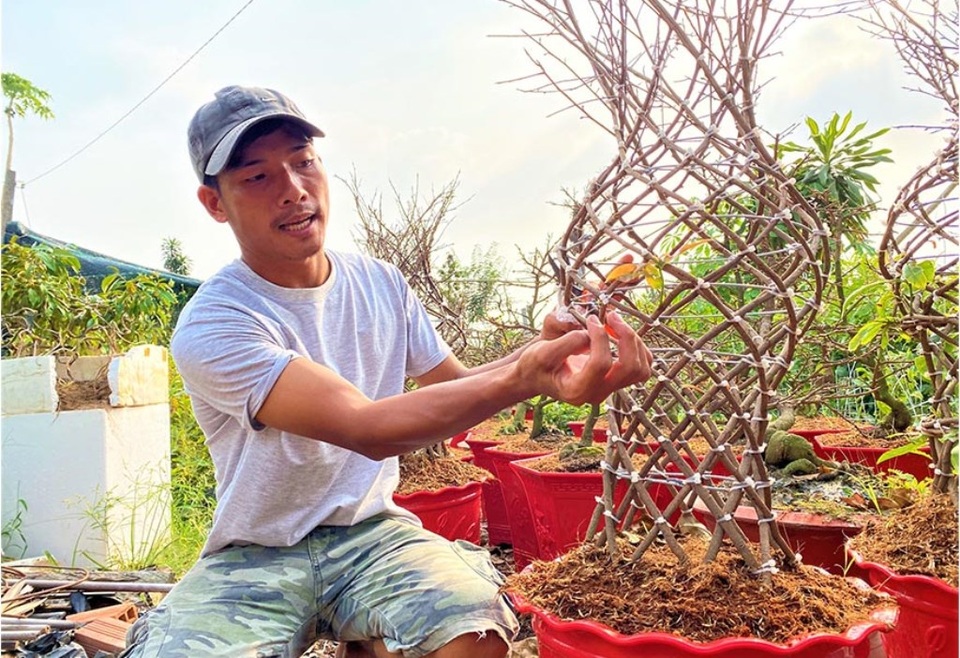Chàng trai 8X và sản phẩm lộc bình mai cháy hàng dịp Tết Tân Sửu - 6 Chàng trai 8X và sản phẩm lộc bình mai cháy hàng dịp Tết Tân Sửu - 6