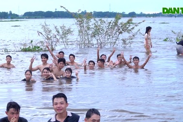 Hàng trăm người kéo về biên giới An Giang để tắm đồng mùa nước nổi