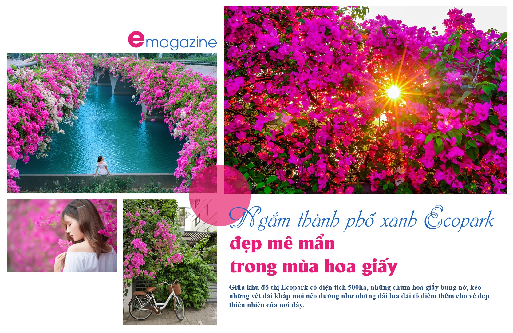 Ngắm thành phố xanh Ecopark đẹp mê mẩn trong mùa hoa giấy