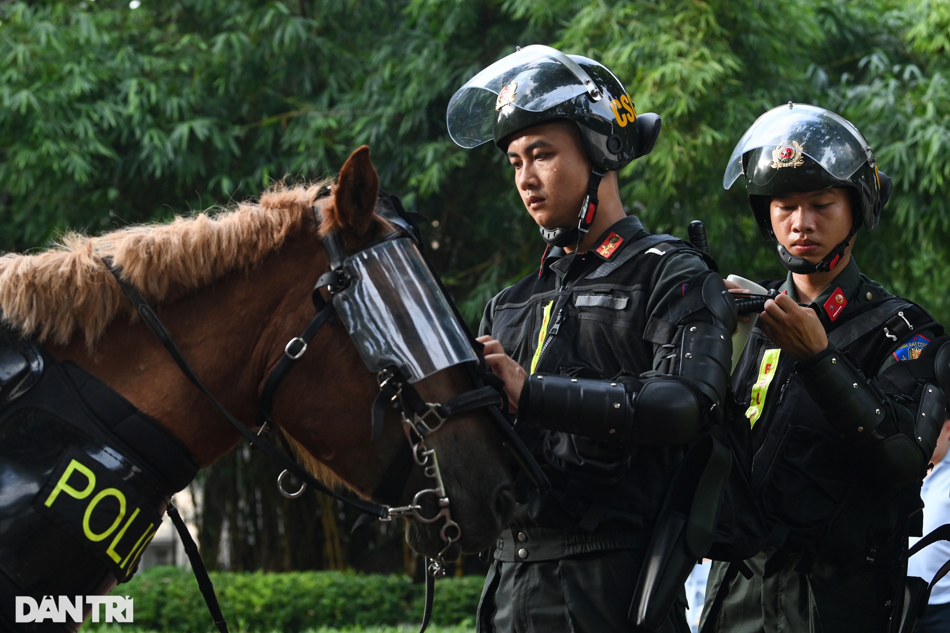 Mãn nhãn hình ảnh CSCĐ Kỵ binh diễu hành quanh phố đi bộ hồ Gươm - 3 Mãn nhãn hình ảnh CSCĐ Kỵ binh diễu hành quanh phố đi bộ hồ Gươm - 3