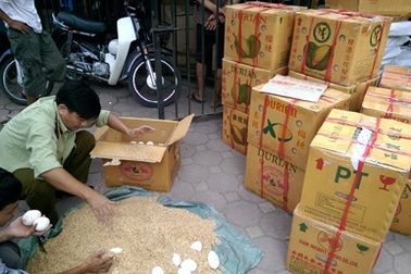 Lần đầu phát hiện vụ vận chuyển 1.500 quả trứng ngỗng “lậu”