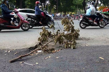 Bé gái 5 tuổi nhập viện vì mặt đường được tái lập ẩu