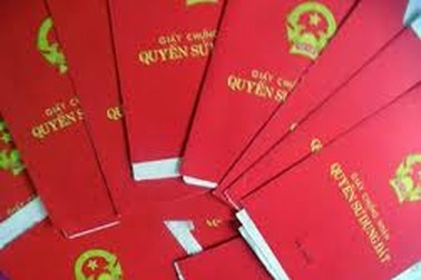 Một gia đình mòn mỏi chờ “hồi âm” của Tòa án tối cao suốt 14 năm