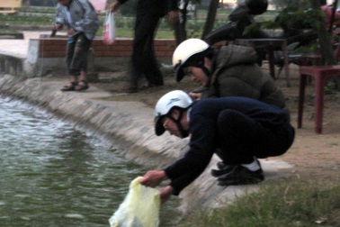 Ông Táo hối hả về trời