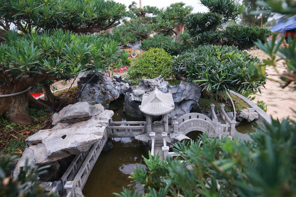 Chiêm ngưỡng “Đồi Tùng La Hán” thiết kế bắt mắt độc nhất vô nhị - 9 Chiêm ngưỡng “Đồi Tùng La Hán” thiết kế bắt mắt độc nhất vô nhị - 9