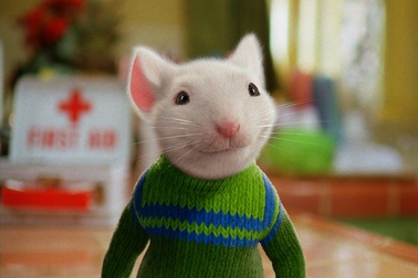 Năm Canh Tý, gặp những chú chuột thống trị màn ảnh thế giới