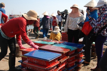 Sức sống mới tại các làng biển 1 năm sau sự cố Formosa