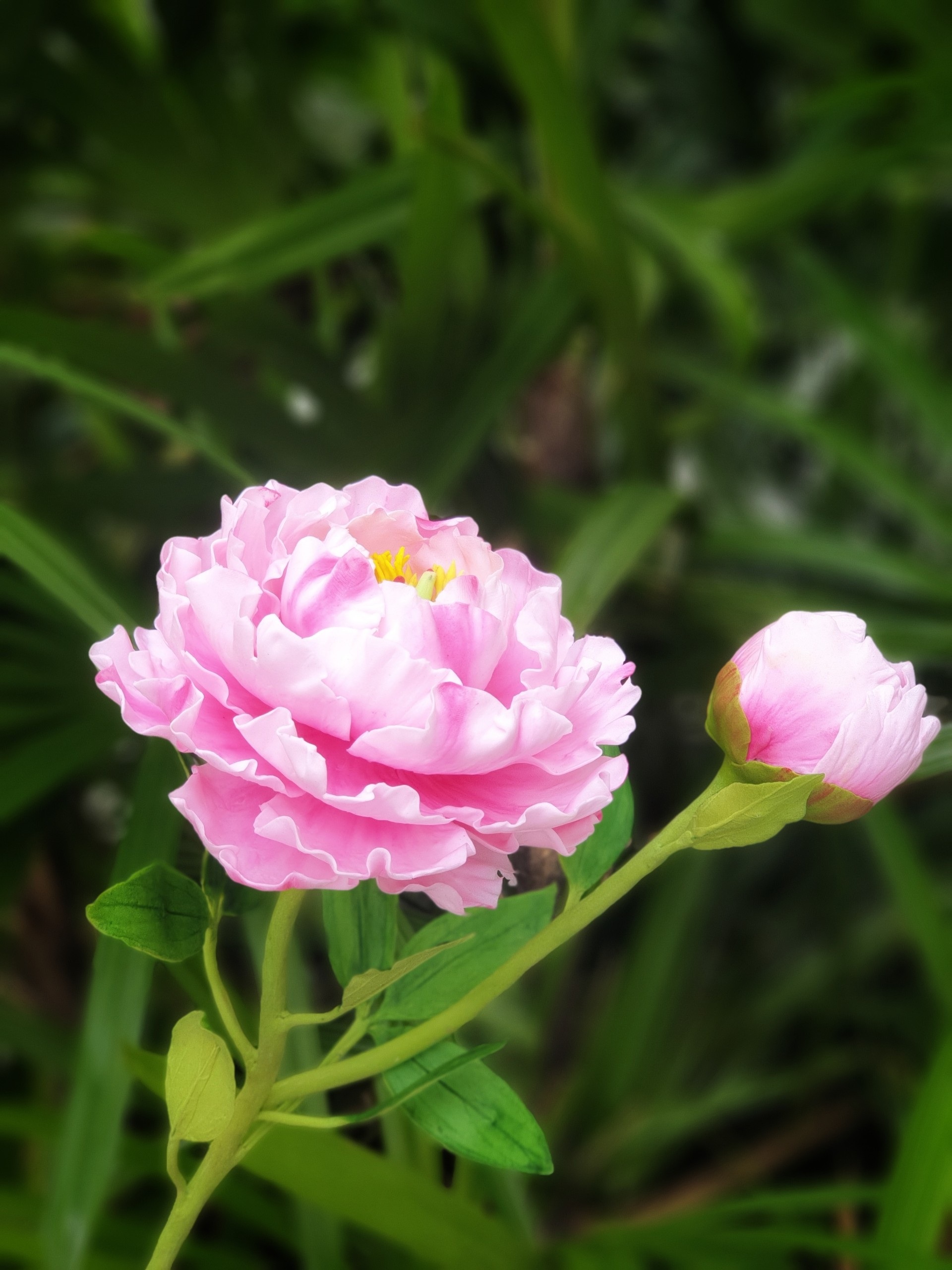 Người phụ nữ ở TPHCM làm hoa đất sét sống động như thật - 5