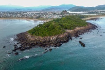 Chuyện ít biết về khu rừng cấm linh thiêng nghìn năm tuổi ở Nam Ô Đà Nẵng