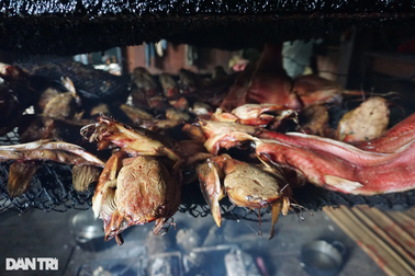 Vượt núi lên "thủ phủ sâm ngọc Linh" thưởng thức chuột quý tộc, cá gác bếp