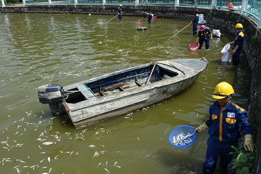 Hà Nội công bố 4 nguyên nhân khiến cá chết hàng loạt ở các ao hồ