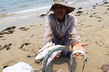 Khi nào ăn cá được?