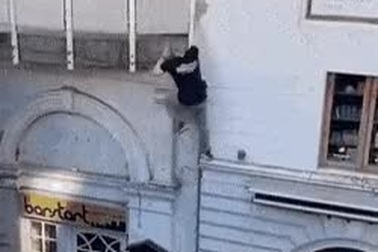 Người đàn ông với màn trèo tường như người nhện