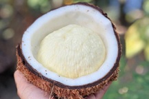 Lạ miệng món mộng dừa "giải nhiệt", vị thơm ngon lại bổ dưỡng