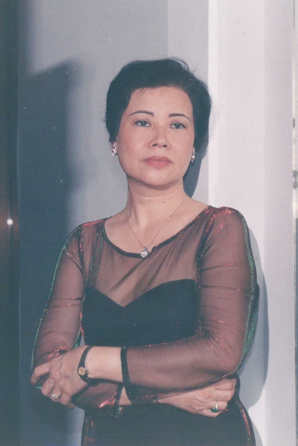 Nghệ sĩ Hồng Nhung - vợ thứ 2 của nhạc sĩ Phú Quang - qua đời - 2 Nghệ sĩ Hồng Nhung - vợ thứ 2 của nhạc sĩ Phú Quang - qua đời - 2