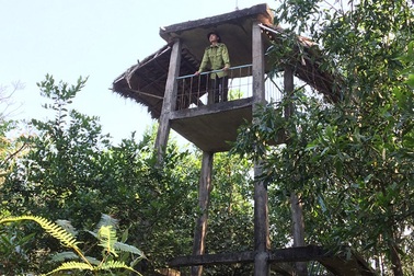 Hà Tĩnh: Căng mình "soi" giặc lửa