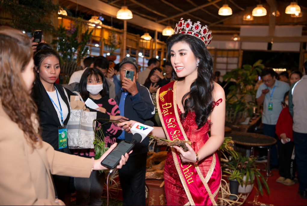 Hoa hậu Emily Hồng Nhung trở thành Đại sứ sâm Lai Châu - 2 Hoa hậu Emily Hồng Nhung trở thành Đại sứ sâm Lai Châu - 2