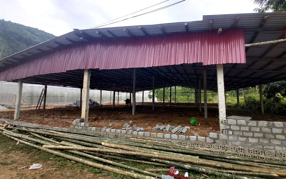 Nam thanh niên người Thái làm giàu từ đất, thu gần nửa tỷ đồng mỗi năm - 4 Nam thanh niên người Thái làm giàu từ đất, thu gần nửa tỷ đồng mỗi năm - 4