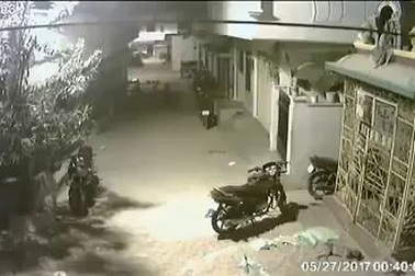 Cậu bé 5 tuổi dũng cảm chống lại bầy chó dữ