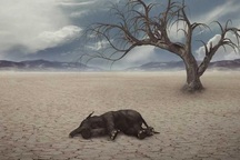 Sự kiện tuyệt chủng hàng loạt thứ 6 của Trái đất đang tăng tốc