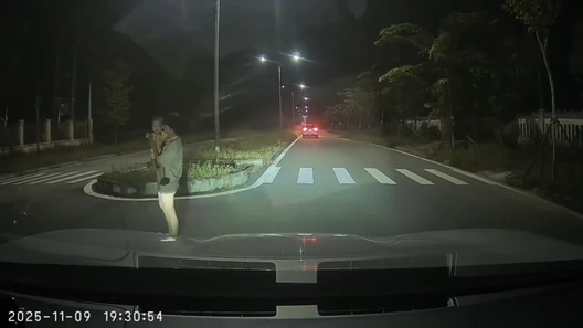 Tài xế hốt hoảng phanh gấp tránh em bé bất ngờ chạy băng qua đường