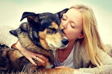 Muốn chia tay vì bạn gái yêu thú cưng hơn người yêu